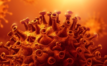 Koronavírus: 4956 teszt, 577 új fertőzött