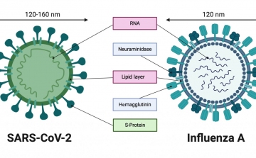 Kutatások bizonyítják, hogy a koronavírus háromszor halálosabb, mint az influenza 