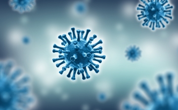 Koronavírus: 2216 teszt, 29 új fertőzött