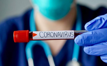 Koronavírus: vasárnapi adatok • Tizenhárom emberéletet követelt a COVID-19