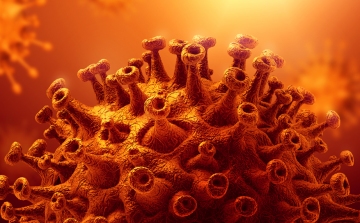 Koronavírus: 1311 új fertőzött, 22 halott