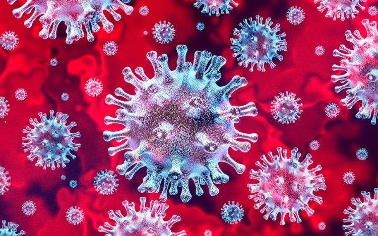 Koronavírus: 3998 teszt, 504 új fertőzött