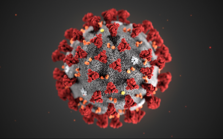 Koronavírus: 5058 teszt, 531 új fertőzött, öten meghaltak