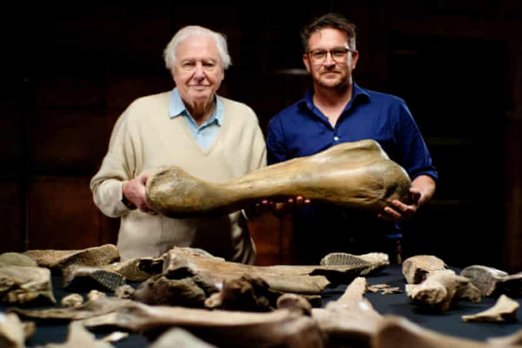 Mamutleletekre és neandervölgyi eszközökre bukkantak