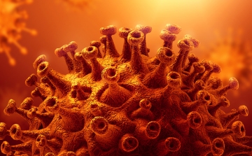 Koronavírus: 1771 új fertőzött, 19 halott