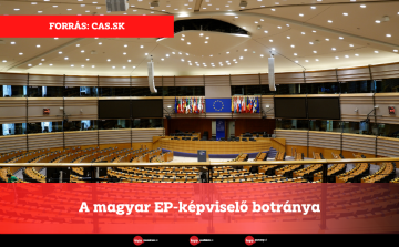 A magyar EP-képviselő botránya