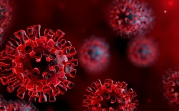 Koronavírus: 3382 teszt, 353 új fertőzött