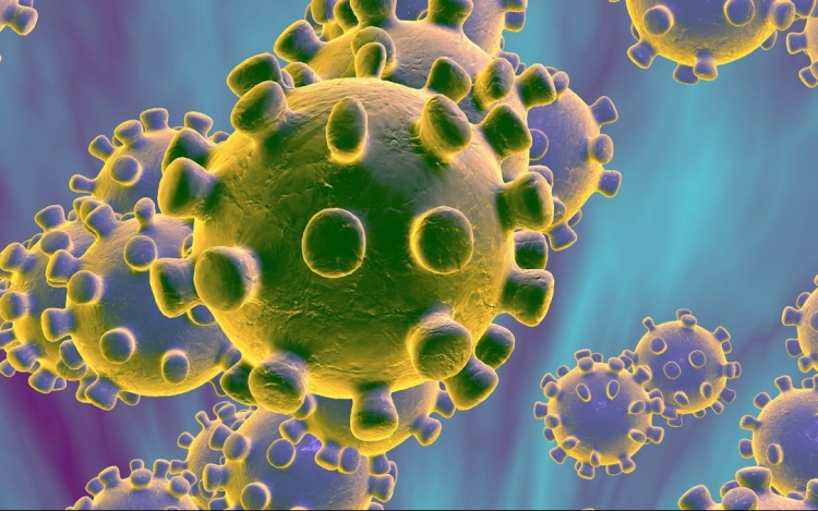 Koronavírus: 3750 teszt, 320 új fertőzött