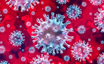 Koronavírus: Vasárnap 17,41%-os volt a fertőzöttségi arány