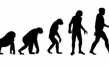 Ezen a napon: november 24. – Darwin kiadta a „Fajok eredete” című könyvet
