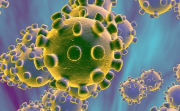 Koronavírus: 1037 új fertőzött, ketten meghaltak