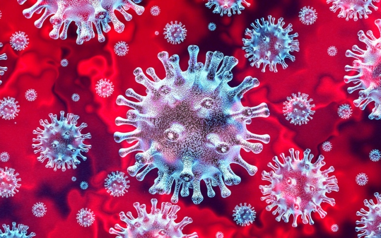 Koronavírus: Vasárnap 17,41%-os volt a fertőzöttségi arány