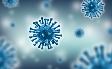 Koronavírus: 47 tesztből 4 pozitív 