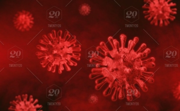 Koronavírus: Egy új fertőzött 