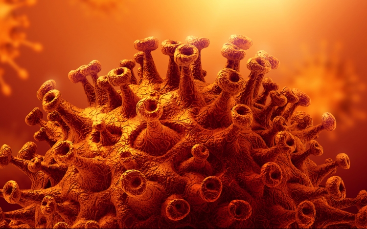Koronavírus: 4956 teszt, 577 új fertőzött