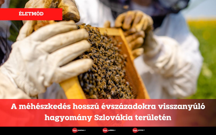 A méhészkedés hosszú évszázadokra visszanyúló hagyomány Szlovákia területén