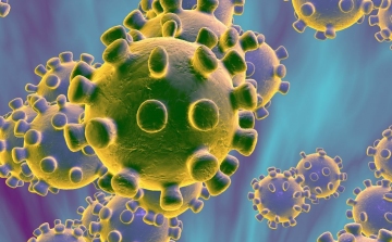 Koronavírus: 8679 minta, 877 új fertőzött