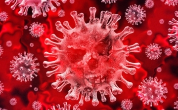 Koronavírus: Egy személy elhunyt, 1851 teszt, 20 új fertőzött